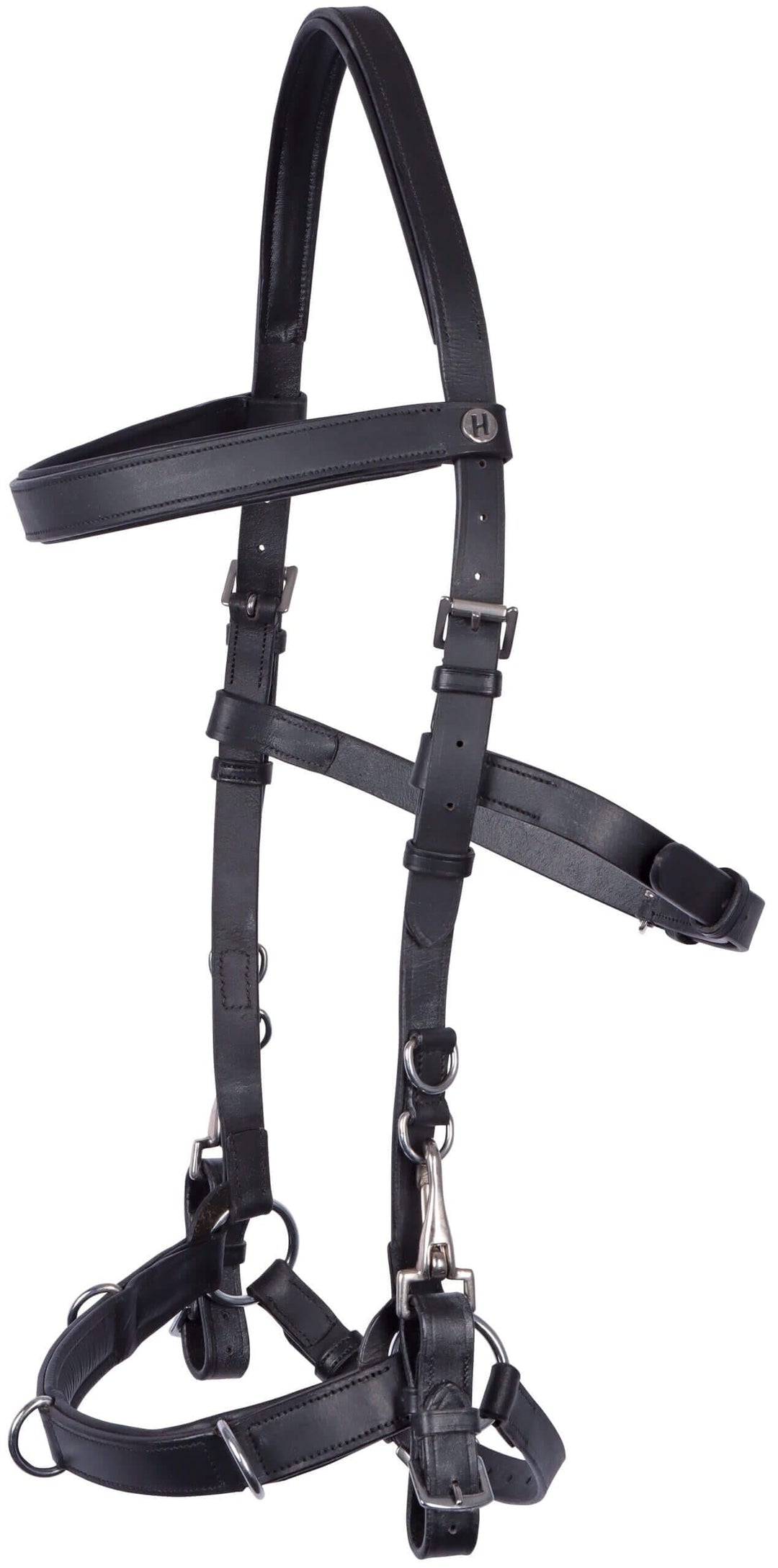 Harry's Horse Kaptoom hoofdstel Leder, Grösse:Full, Full