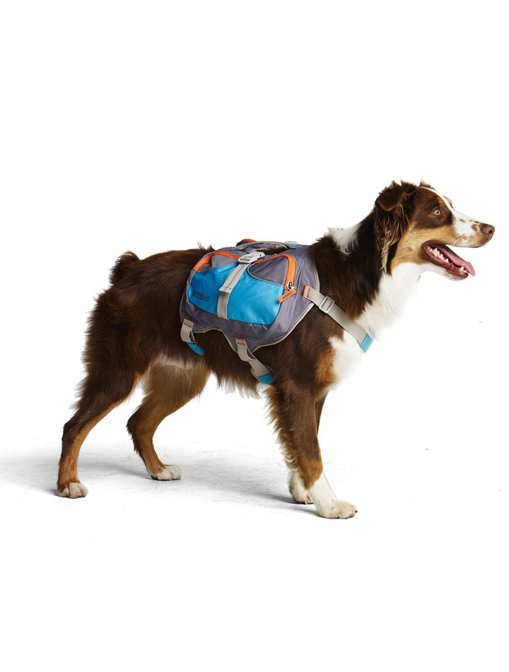 Cesar Millan Hunde-Rucksack (klein), S