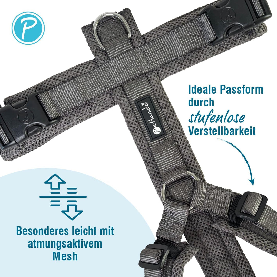 Petlando Hundegeschirr gepolstert, Mesh Y-Comfort, weich, stufenlos verstellbar, besonders leicht &amp;