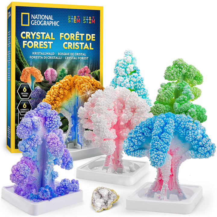 NATIONAL Geographic Bastelset für Kinder – Kristallzucht-Set, 6 Kristallbäume in 6 Stunden wachsen L