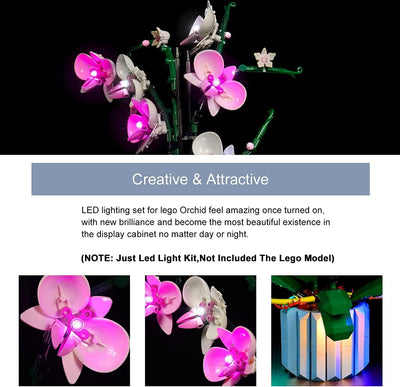 Led Licht Set für Lego 10311 Icons Orchidee Set（Kein Lego-Modell enthalten, BrickBling DIY Beleuchtu