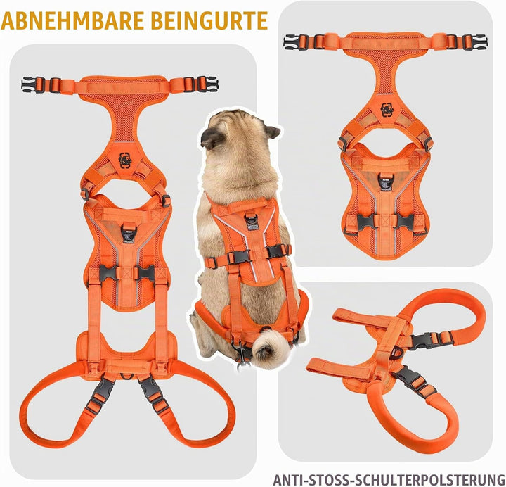 OneTigris Hundegeschirr, Hopper Kleines Unterstützung Geschirr Einstellbares Hebegeschirr mit 2 Grif