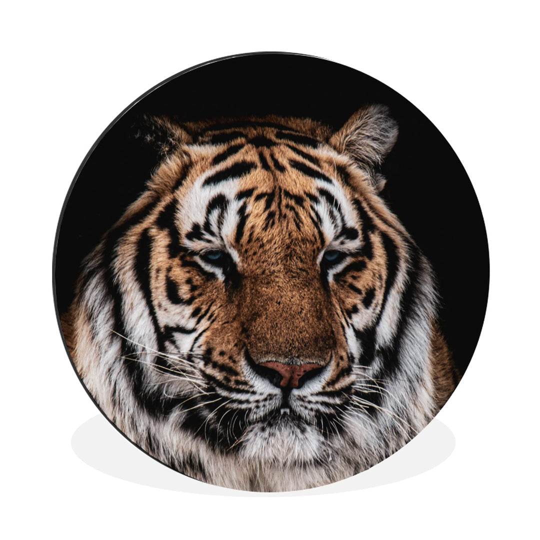 MuchoWow Wandbild Rund Wanddeko Deko Wohnzimmer Bilder 60x60 cm Tiger - Tiere - Orange, 60x60 cm