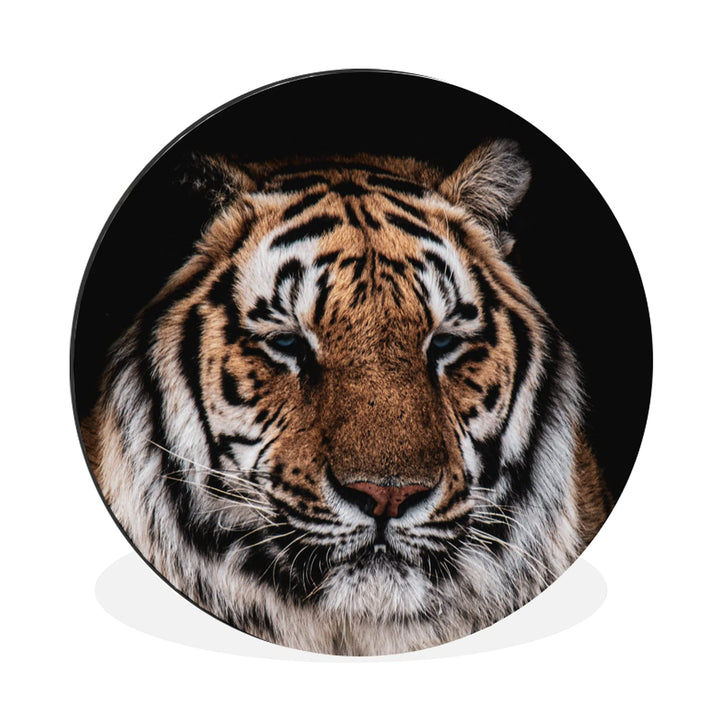 MuchoWow Wandbild Rund Wanddeko Deko Wohnzimmer Bilder 60x60 cm Tiger - Tiere - Orange, 60x60 cm