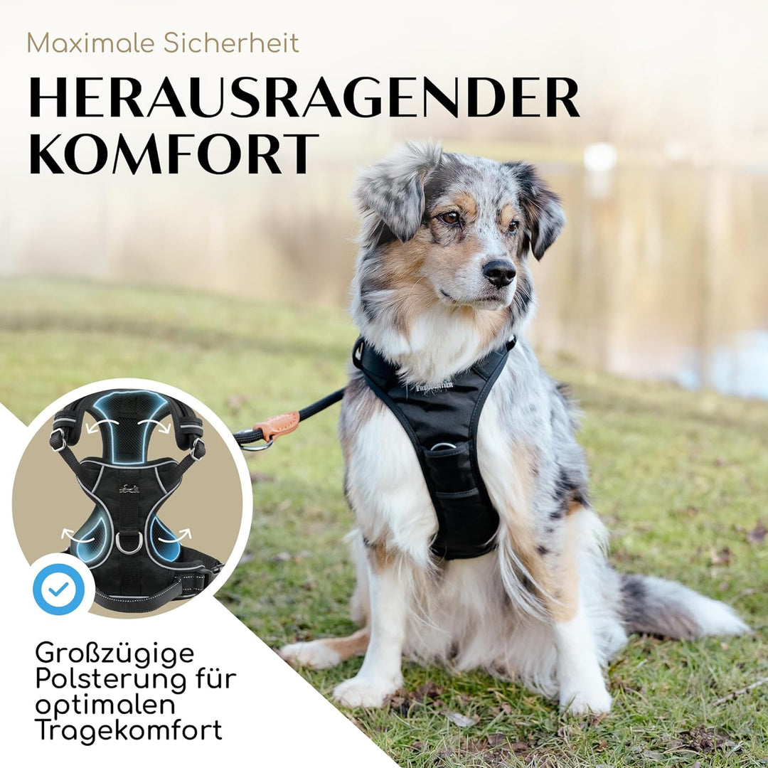 FREUDENTIER® Hundegeschirr mit atmungsaktiver Polsterung - Höchster Komfort & bombenfester Sitz - Mi