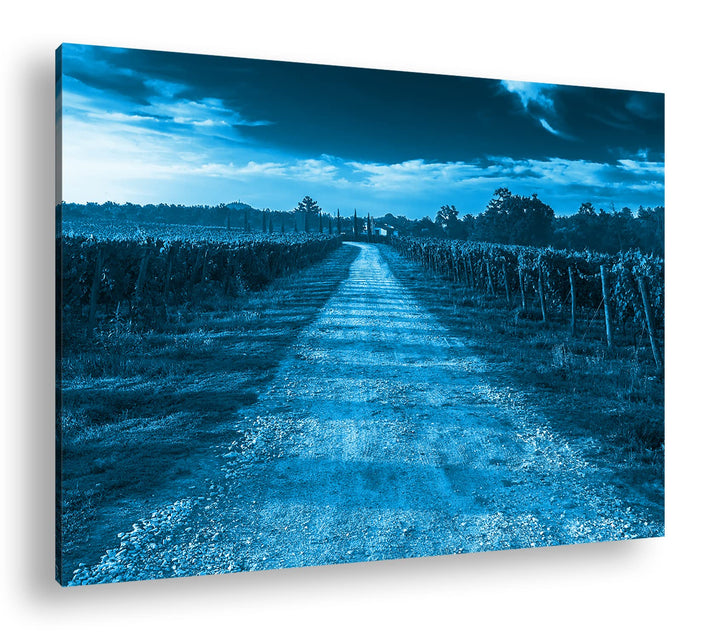 Feldweg in der Toskana Format 80x60 Effekt: Monocrome Blau als Leinwandbild, Motiv fertig gerahmt au