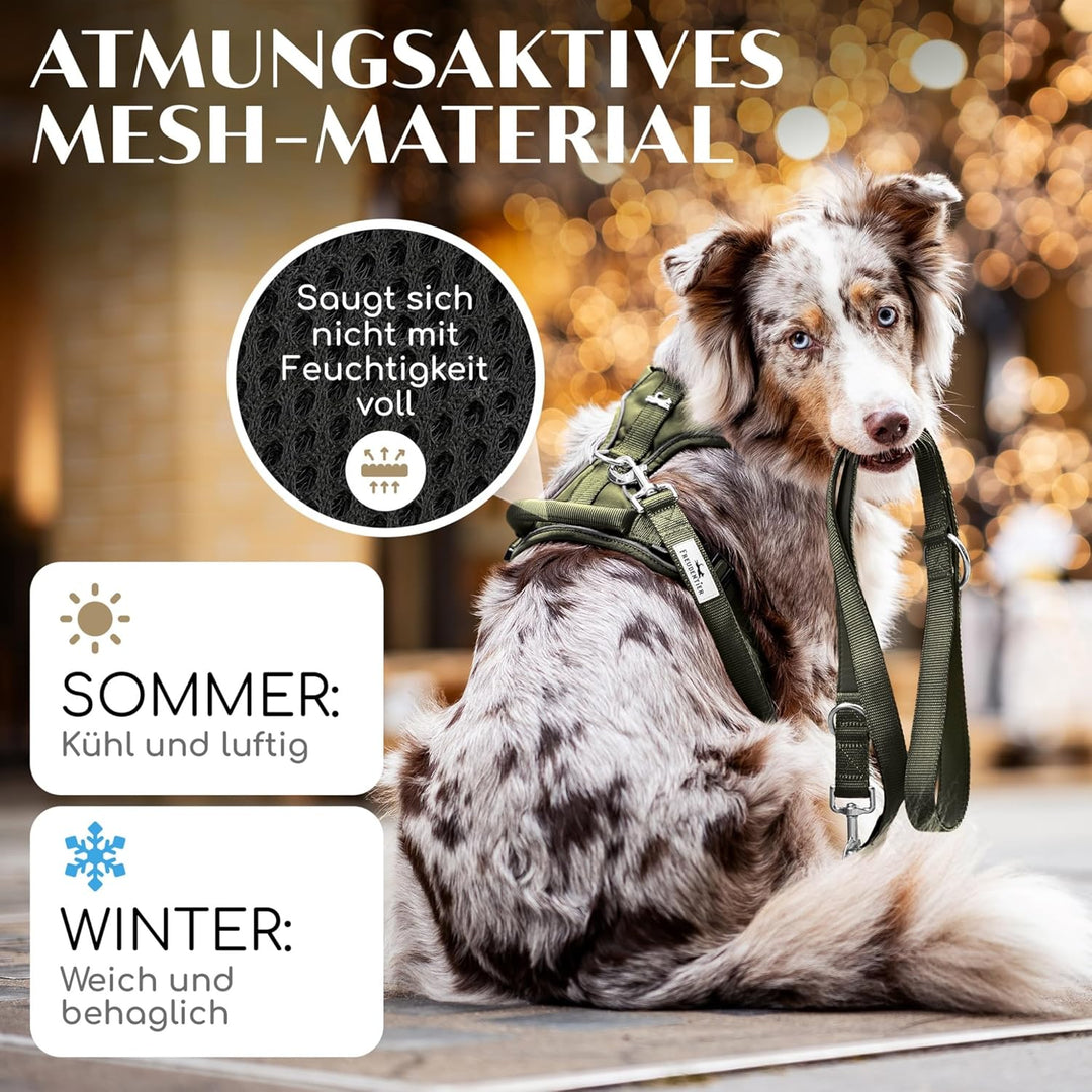 FREUDENTIER Hundegeschirr mit Mesh-Polsterung - Höchster Komfort, bombenfester Sitz &amp; maximale Siche