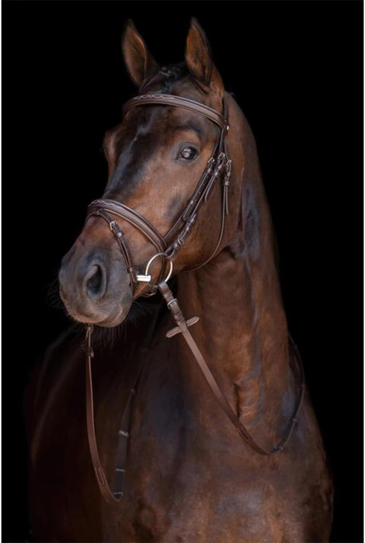 HKM 10892400.0622 Reittrense, Jana Pony, Pony