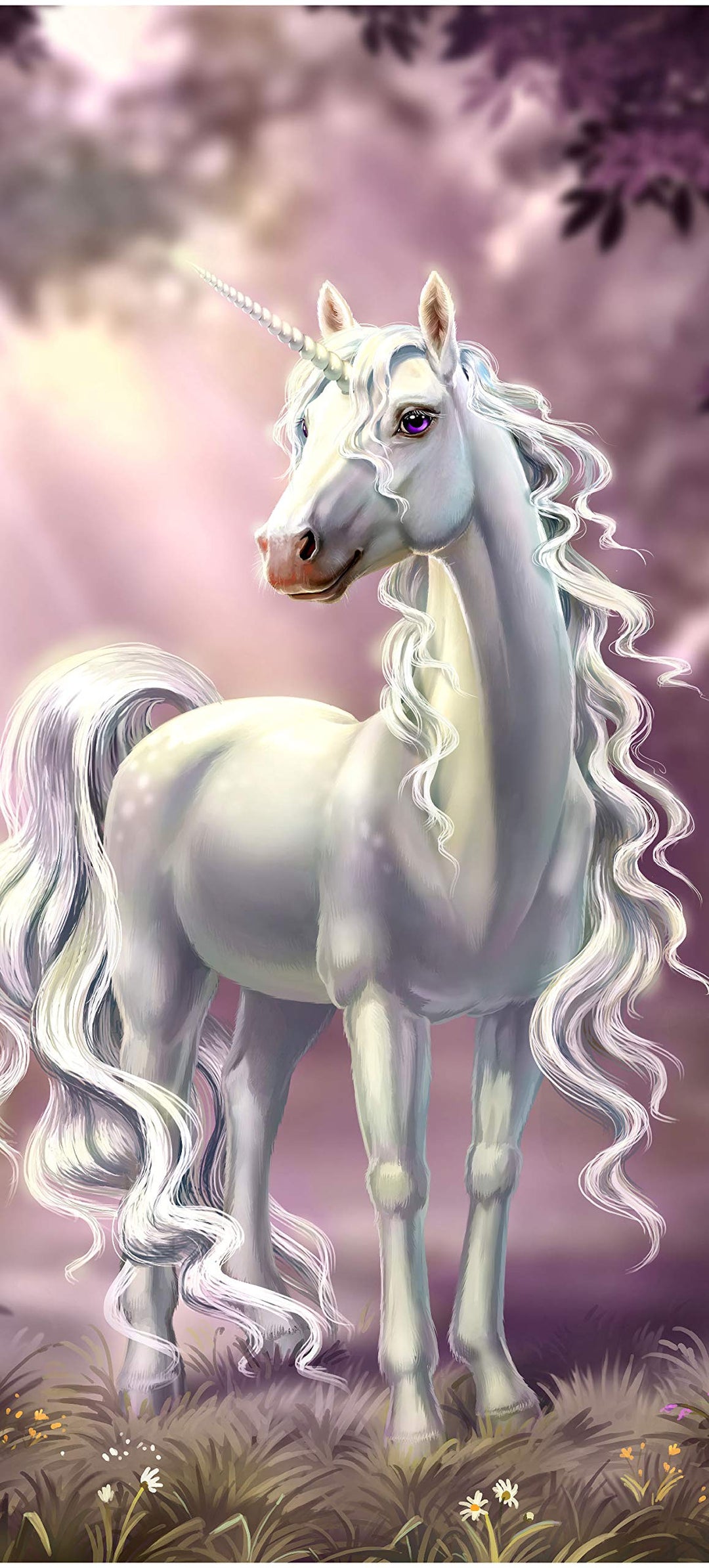 wandmotiv24 Türtapete Prinzessinnen Einhorn, Weiss, Fantasy 90 x 200cm (B x H) - selbstklebend Vlies