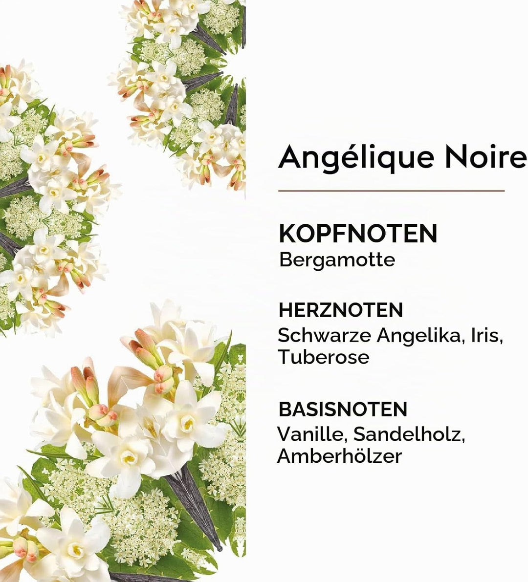 Maison Berger – Nachfüllung Angélique Noire 500 ml für Lampe Berger – 2-in-1 geruchsneutralisierende