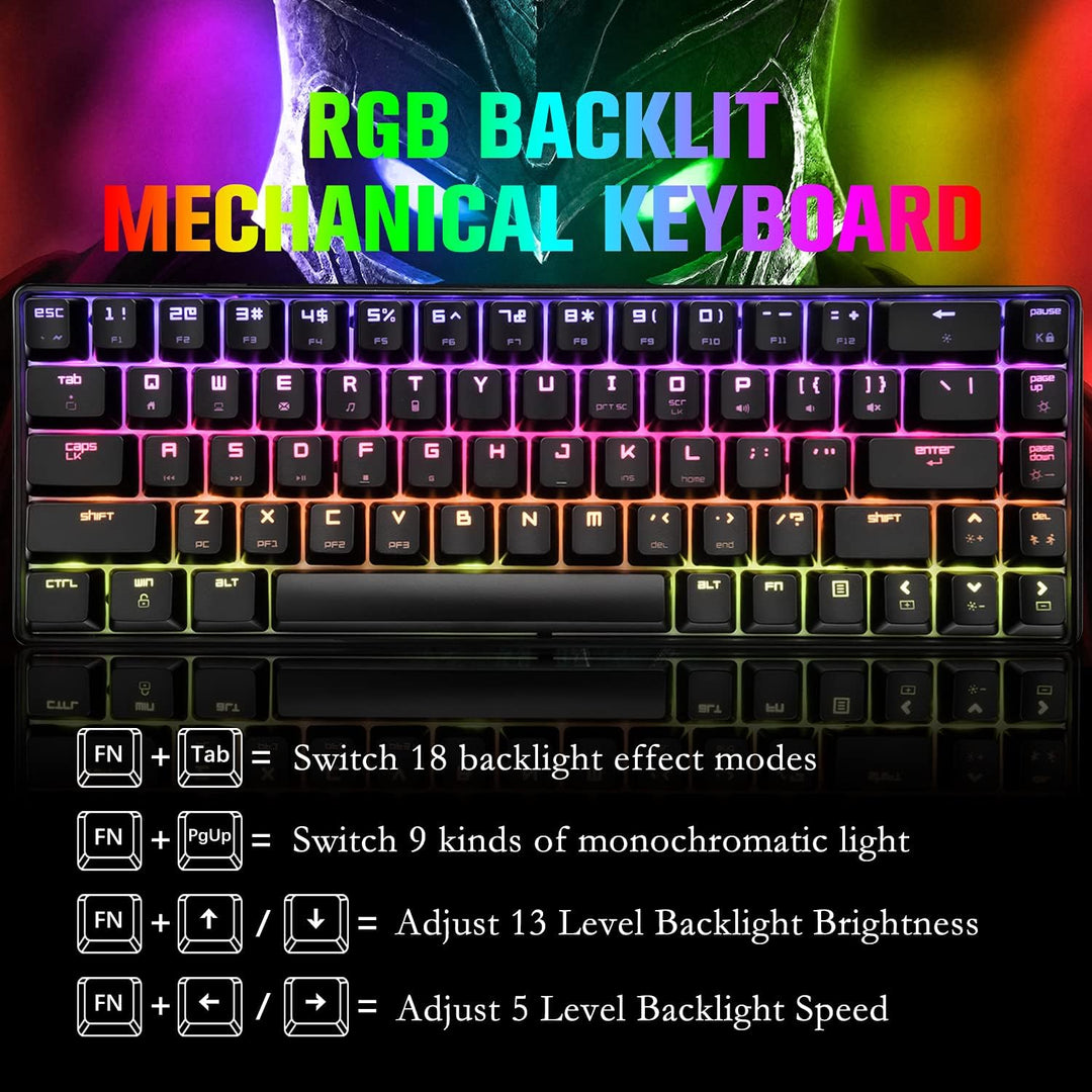 60% mechanische Mini-Tastatur, kompakt 68 Tasten, USB C, kabelgebunden, RGB-Tastatur, 18 Chroma Rain