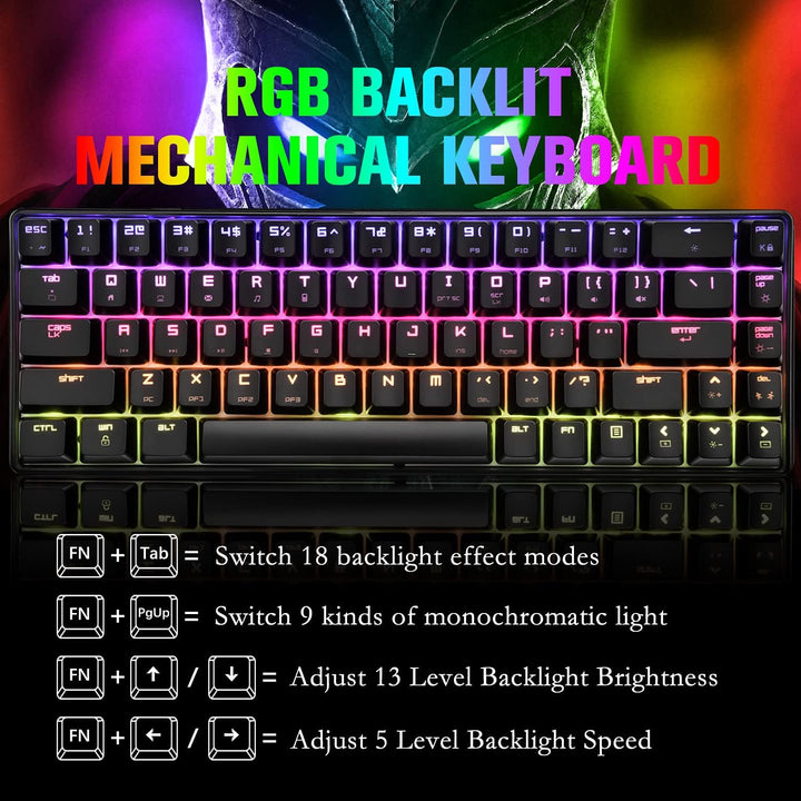 60% mechanische Mini-Tastatur, kompakt 68 Tasten, USB C, kabelgebunden, RGB-Tastatur, 18 Chroma Rain
