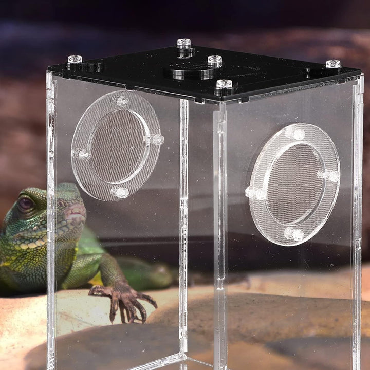 Hemobllo Springspinne Terrarium Set Acryl- -Terrarium: Transparente Reptilienzucht Springspinnen-Zuc