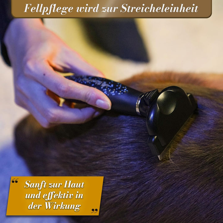 BluePet LIMITED Katzenbürste & Hundebürste Kurzhaar zum Entfernen von losem Fell & Unterwolle I Bis
