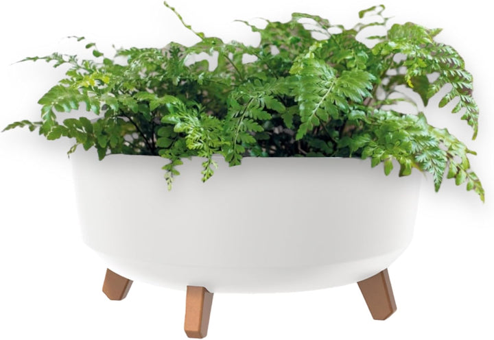 MELTOM Blumentopf Schale mit Füssen Einsatz Blumenschale Kräutertopf Übertopf, 39 cm x 27 cm (Weiss)
