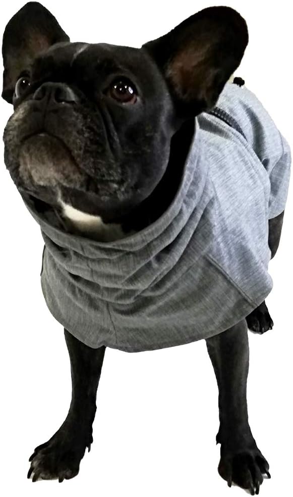 Croci Hiking Hundemantel, wasserdicht, für Hunde, gefüttert, Wintermantel, Thermofutter, Everest Gre