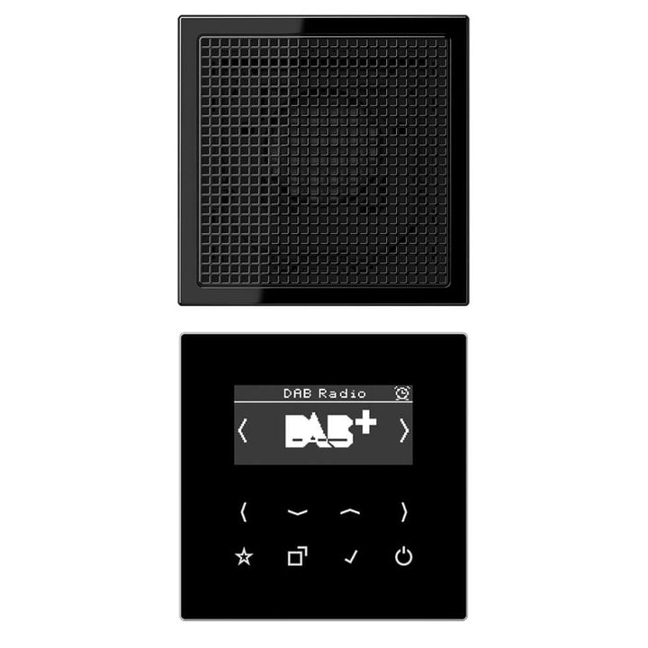 Jung DABLS1SW Smart Radio DAB plus Set Mono mit Lautsprecher Serie LS Schwarz
