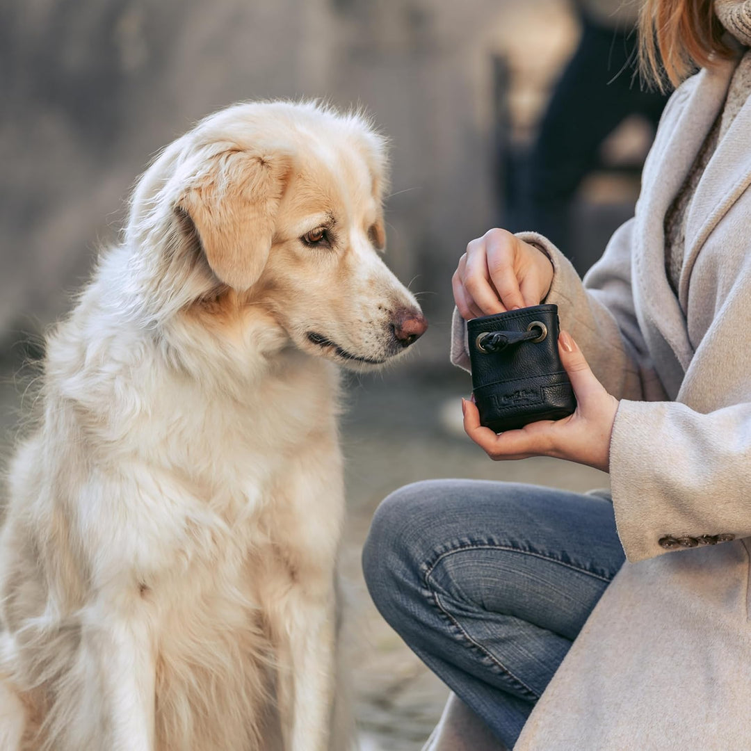 Gusti Leder Leckerlitasche Alaric - Futterbeutel Hund Vierbeiner Schwarz Leder
