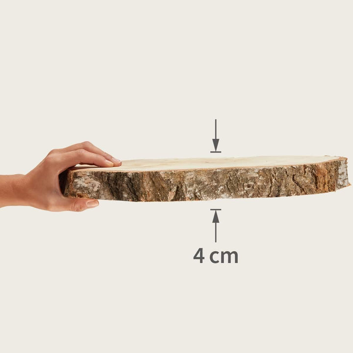 Grosse Holzscheiben zum Basteln oder Dekorieren - 5 Stück naturbelassene Baumscheiben ca. 35 cm (33