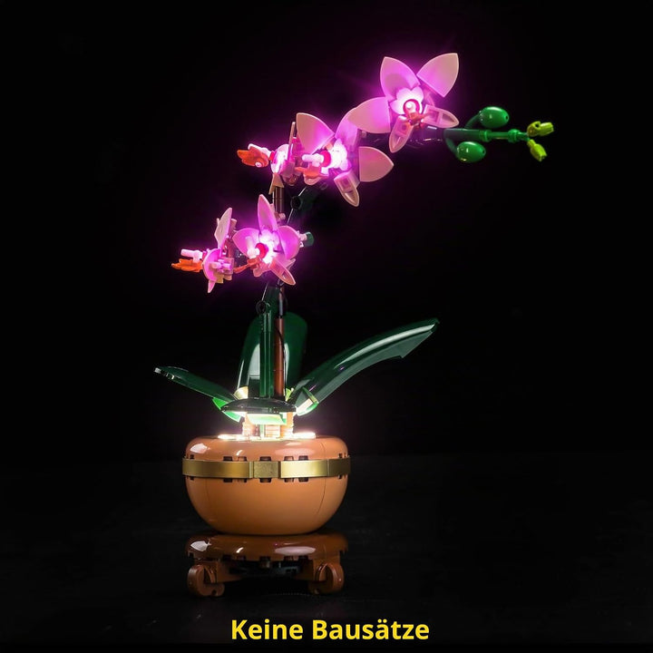 BrickBling Licht-Kit Kompatibel mit Lego 10343 Mini Orchid Botanical Collection Set (Kein Modell), L