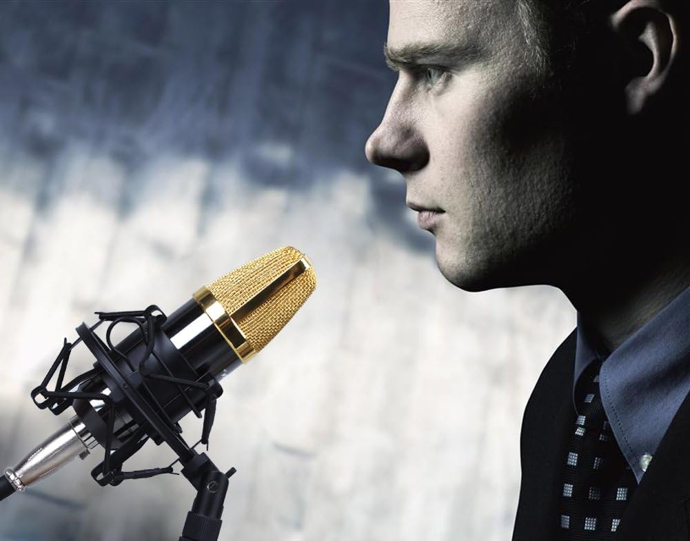 Koolertron Universal-Mikrofonspinne, für Kondensator-Mikrofone 50 mm schwarz, Schwarz