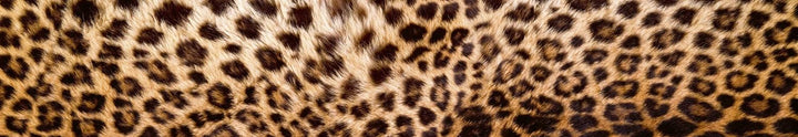 DIMEX Küchenrückwand Folie selbstklebend LEOPARDENFELL | Klebefolie - Dekofolie - Spritzschutz für K