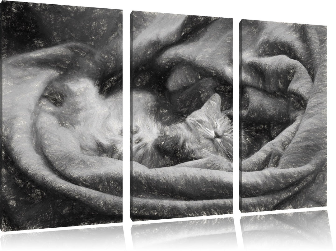 Pixxprint Babykatze als Leinwandbild/Grösse: 3 Teilig (120x80) cm/Wandbild/Kunstdruck/fertig bespann