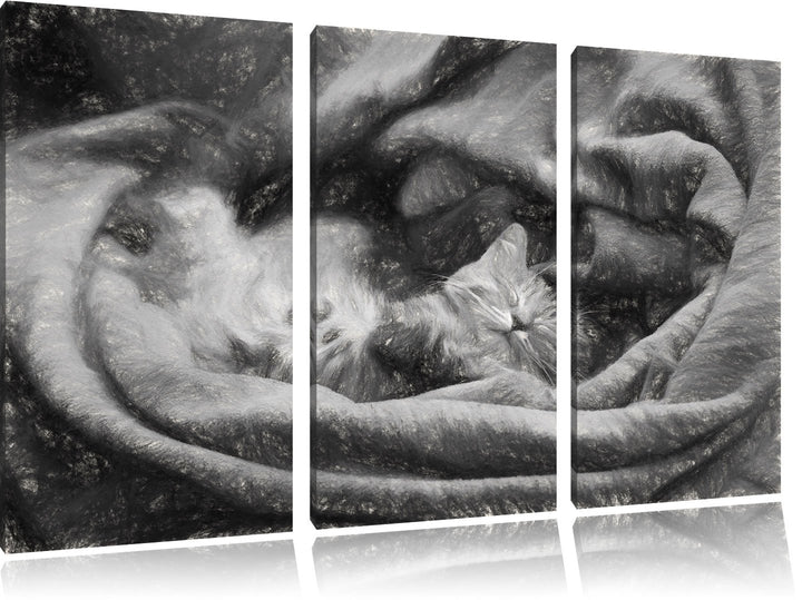 Pixxprint Babykatze als Leinwandbild/Grösse: 3 Teilig (120x80) cm/Wandbild/Kunstdruck/fertig bespann