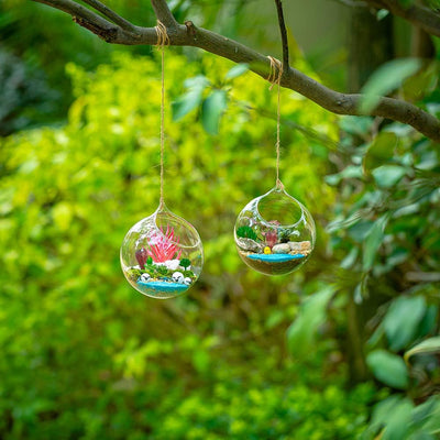 Glasseam Hängende Glaskugel Vase Glaskugel 6 Pcs Grosse Öffnung Sukkulenten Aufhängen Terrarium Glas
