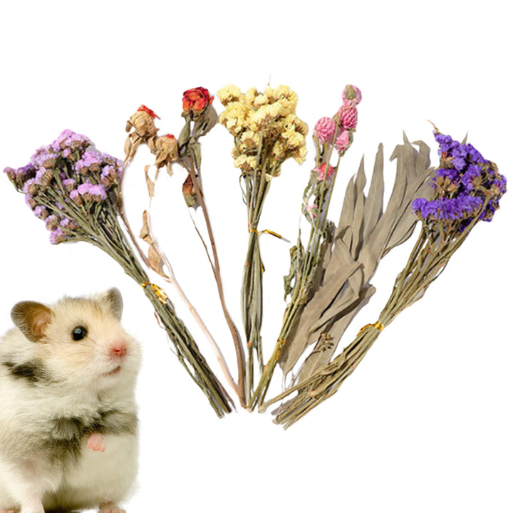 Generisch Hamster Einstreu, 25 cm Natürlich Getrocknete, Trockenblumen Für Hamster, Hamsters Einstre