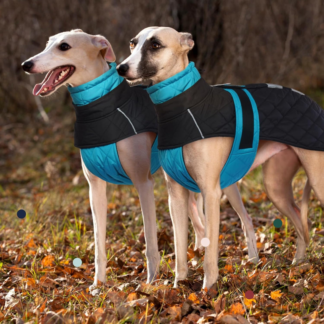 Wasserdichter Windhundmantel, Wasserdichter Winddichter Jacken für Windhund Rollkragenpullover Fleec