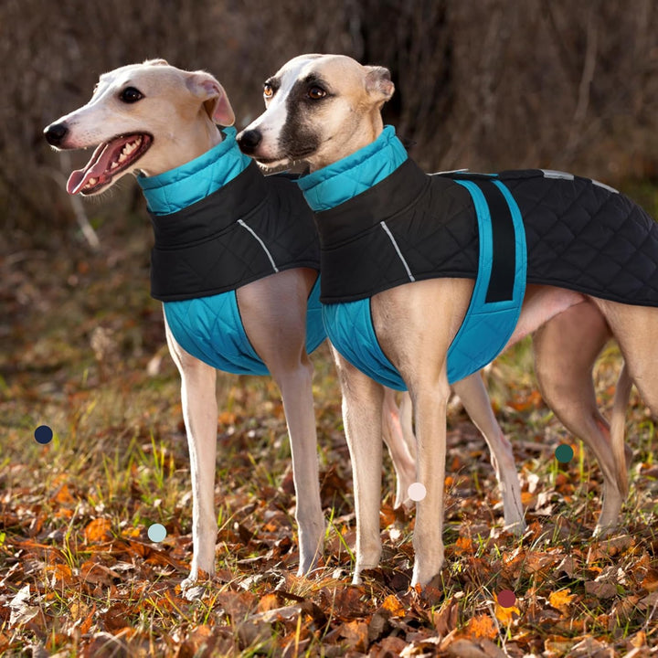Wasserdichter Windhundmantel, Wasserdichter Winddichter Jacken für Windhund Rollkragenpullover Fleec