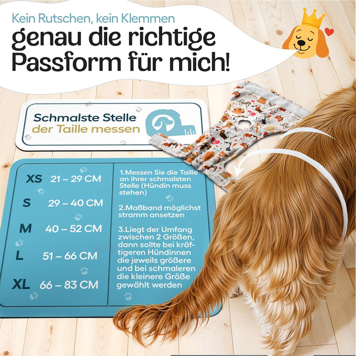HUND IST KÖNIG Hundewindeln für Hündinnen (3 Stück) - Hochabsorbierende Läufigkeitshose für Hündinne