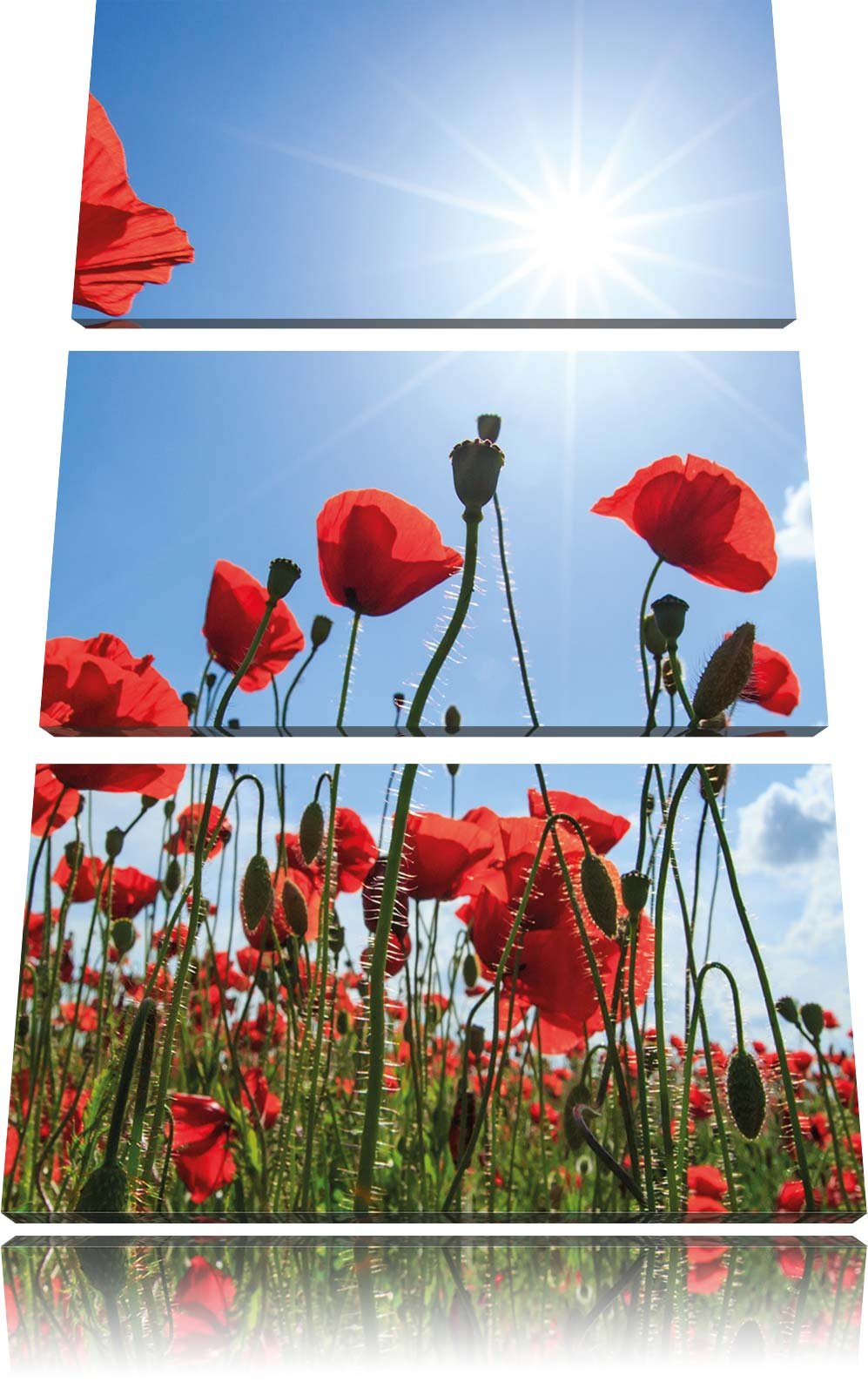 Pixxprint Mohnblumen als Leinwandbild - Grösse: 3-Teilig (120x80cm) - Wandbild - Kunstdruck - fertig