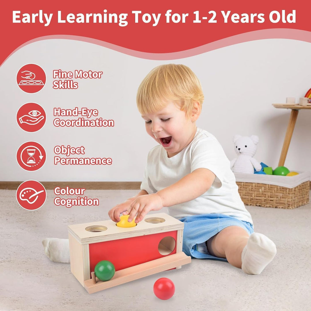 Montessori Spielzeug ab 1 Jahr, Baby Holzspielzeug ab 9 Monate, Objektpermanenz Box für Baby 12-18 M