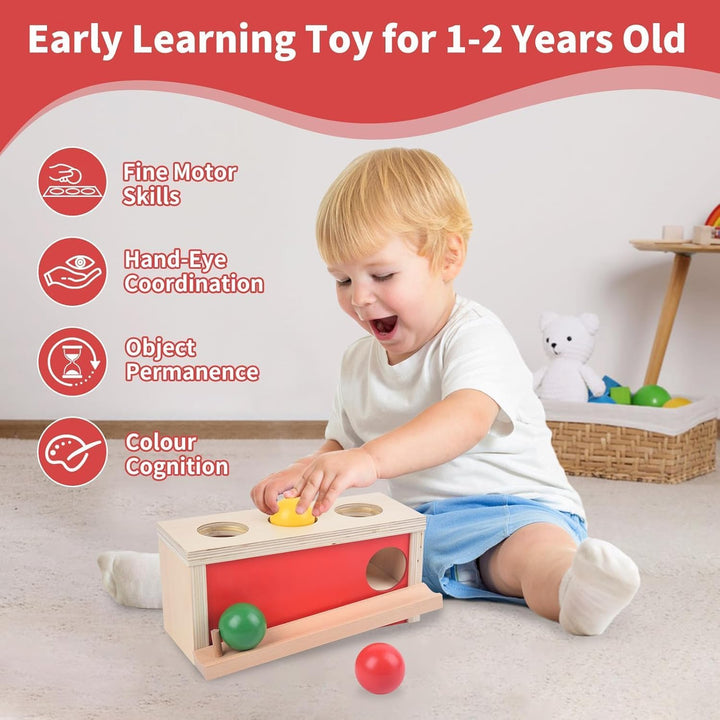 Montessori Spielzeug ab 1 Jahr, Baby Holzspielzeug ab 9 Monate, Objektpermanenz Box für Baby 12-18 M