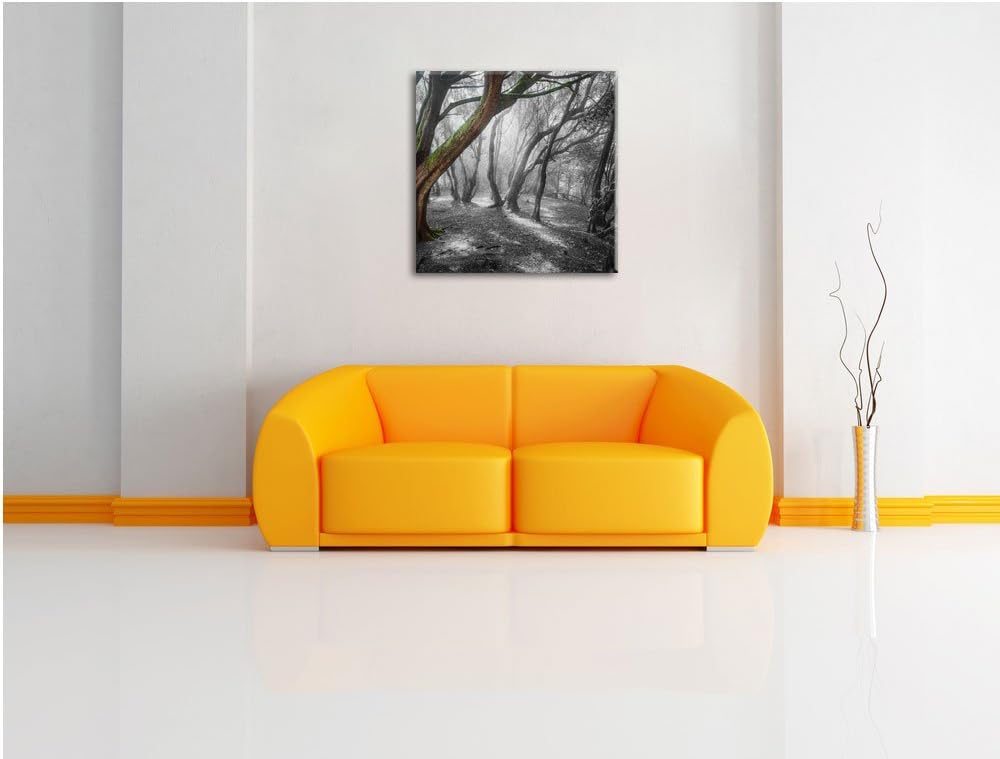 Pixxprint einsamer Baum in tristem Grau schwarz/weiss, Format: 70x70 auf Leinwand, 70x70