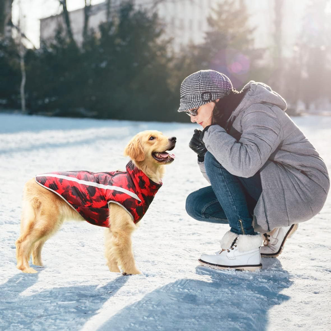 Idepet Haustier Katze Hundemantel, warme Hundepullover Winter klein mittel gross Hundejacken Weste W