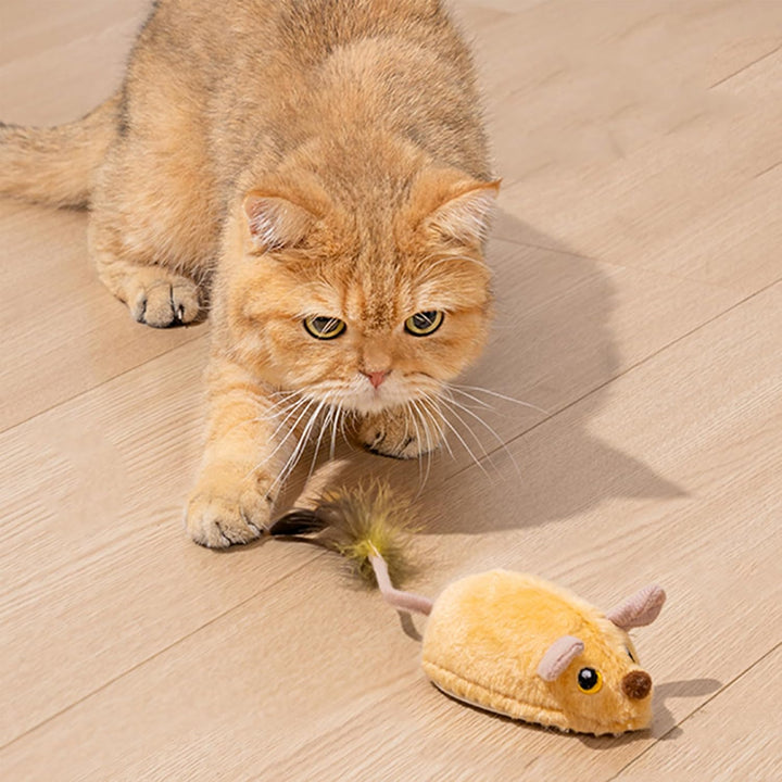 Katzenspielzeug Fernbedienung Maus, Katzenspielzeug Maus, Ferngesteuertes Katzenspielzeu-g, interakt