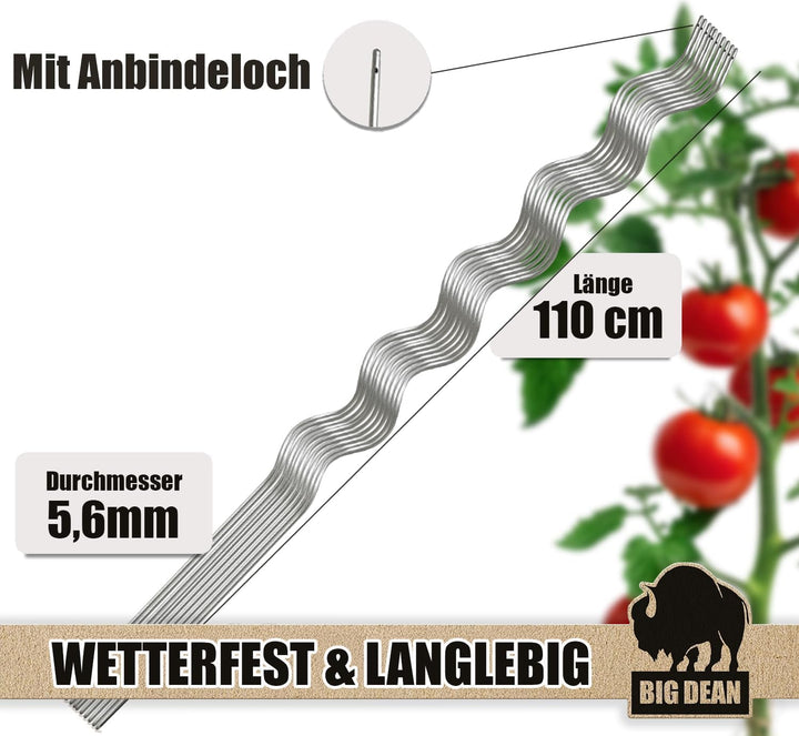 BigDean 40 Tomatenspiralstäbe 110cm voll verzinkt Tomatenstab Tomaten Ranke Pflanzstab Stahl Profi Q