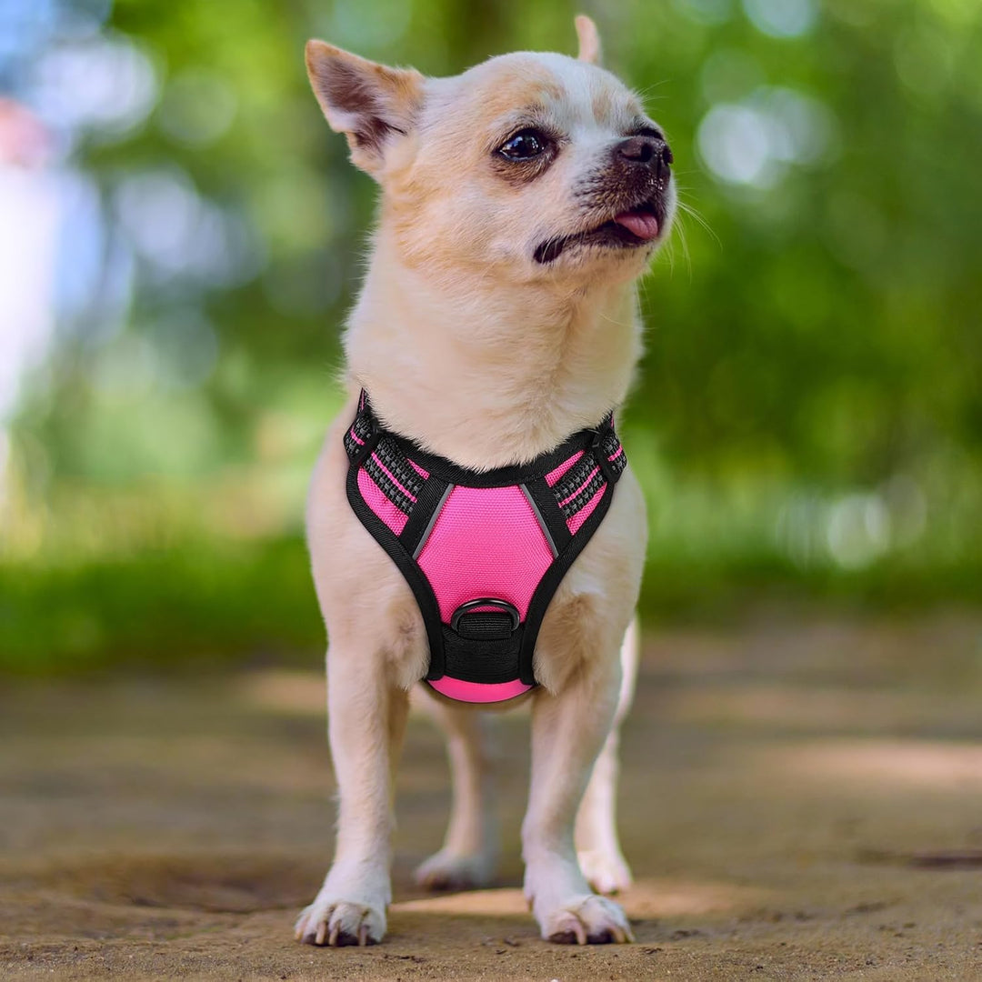 rabbitgoo Hundegeschirr Kleine Hunde, Anti Zug Geschirr mit Kontrolle, No Pull Verstellbar Hundegesc