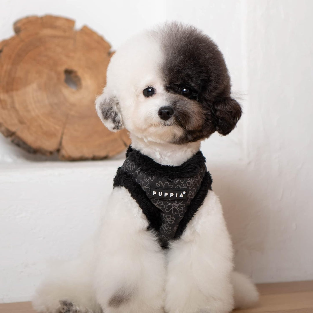 Puppia Hundegeschirr für kleine und mittelgrosse Hunde - Hepatica Harness A - verstellbar und komfor