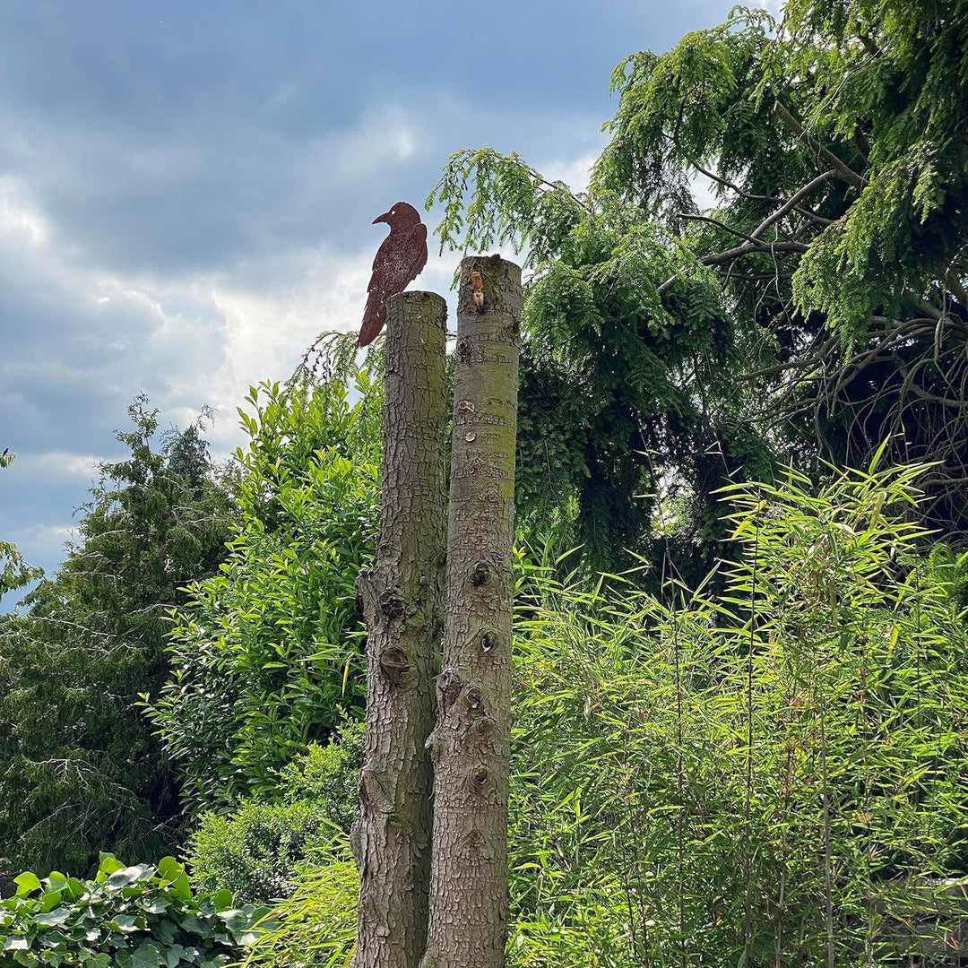 Crispe home & garden Gartenstecker Edelrost - Vogel Rabe - Höhe 34 cm, Rabe