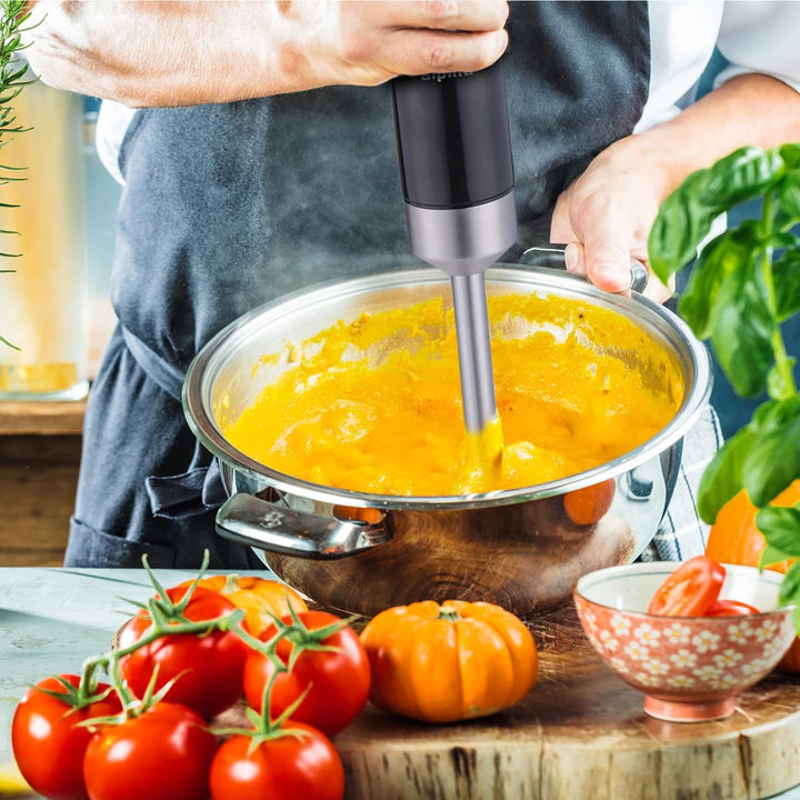 alpina Stabmixer HB6700F-N – Pürierstab mit Messbecher 700 ml – Hand Blender 1000 W – 2 Geschwindigk