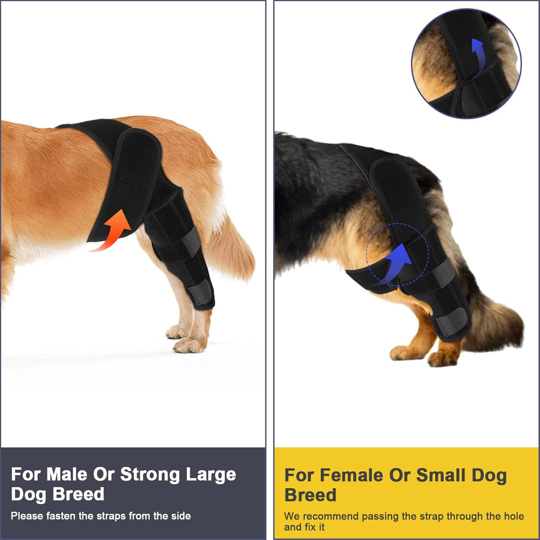 KINBOM Hunde Kniebandage Hinterbein, Hunde Hinterbein Bandage Hunde-ACL-Klammer Hinterbein Hunde-Kni