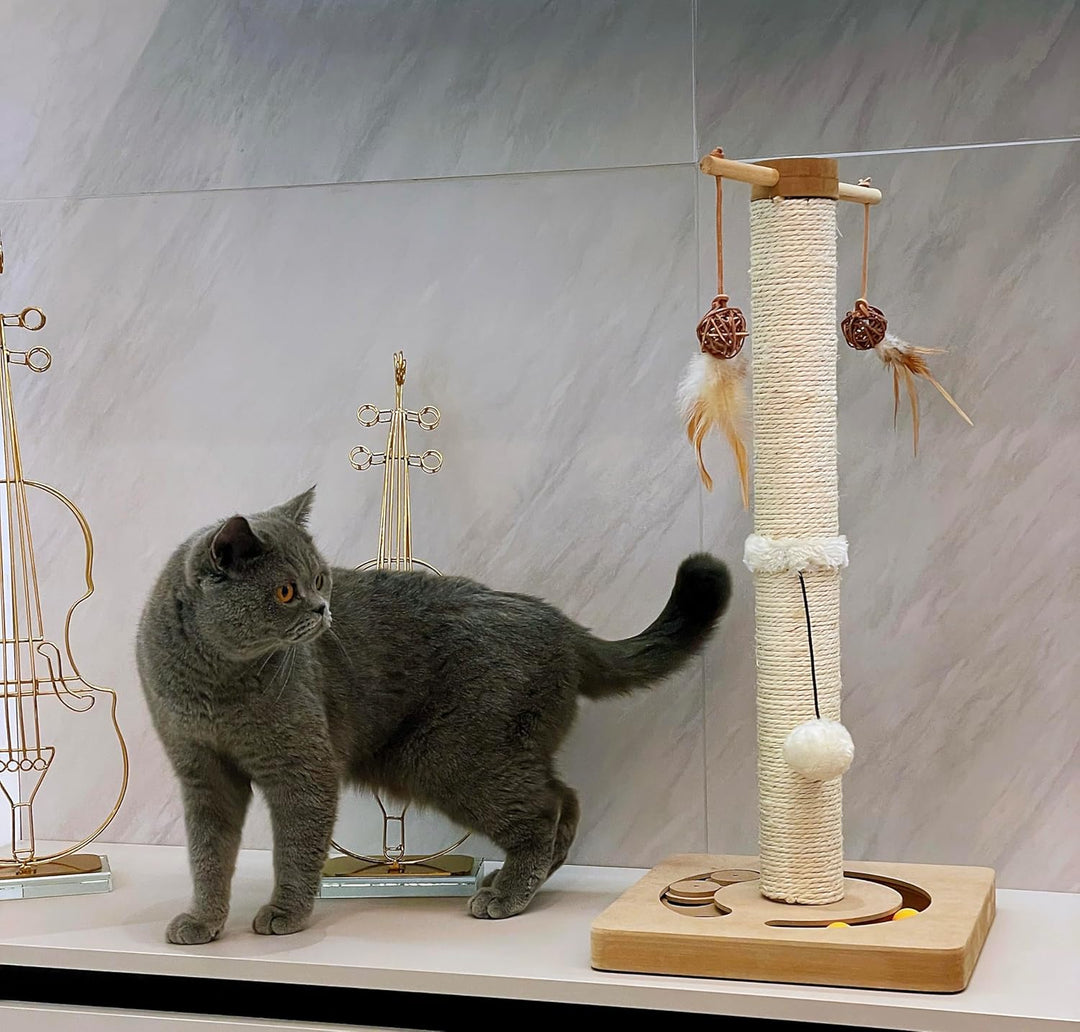 AUSCAT Kratzsäule für Katzen, Kratzbaum mit Verschiedenen Interaktiven Spielzeug, Kratzstamm mit Nat
