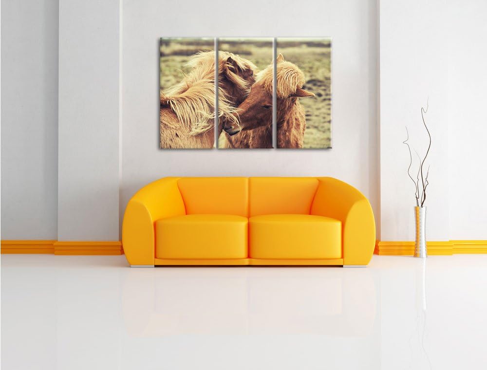 Pixxprint Islandpferde Pony als Leinwandbild | Grösse: 3 Teilig (120x80) | Wandbild| Kunstdruck | fe