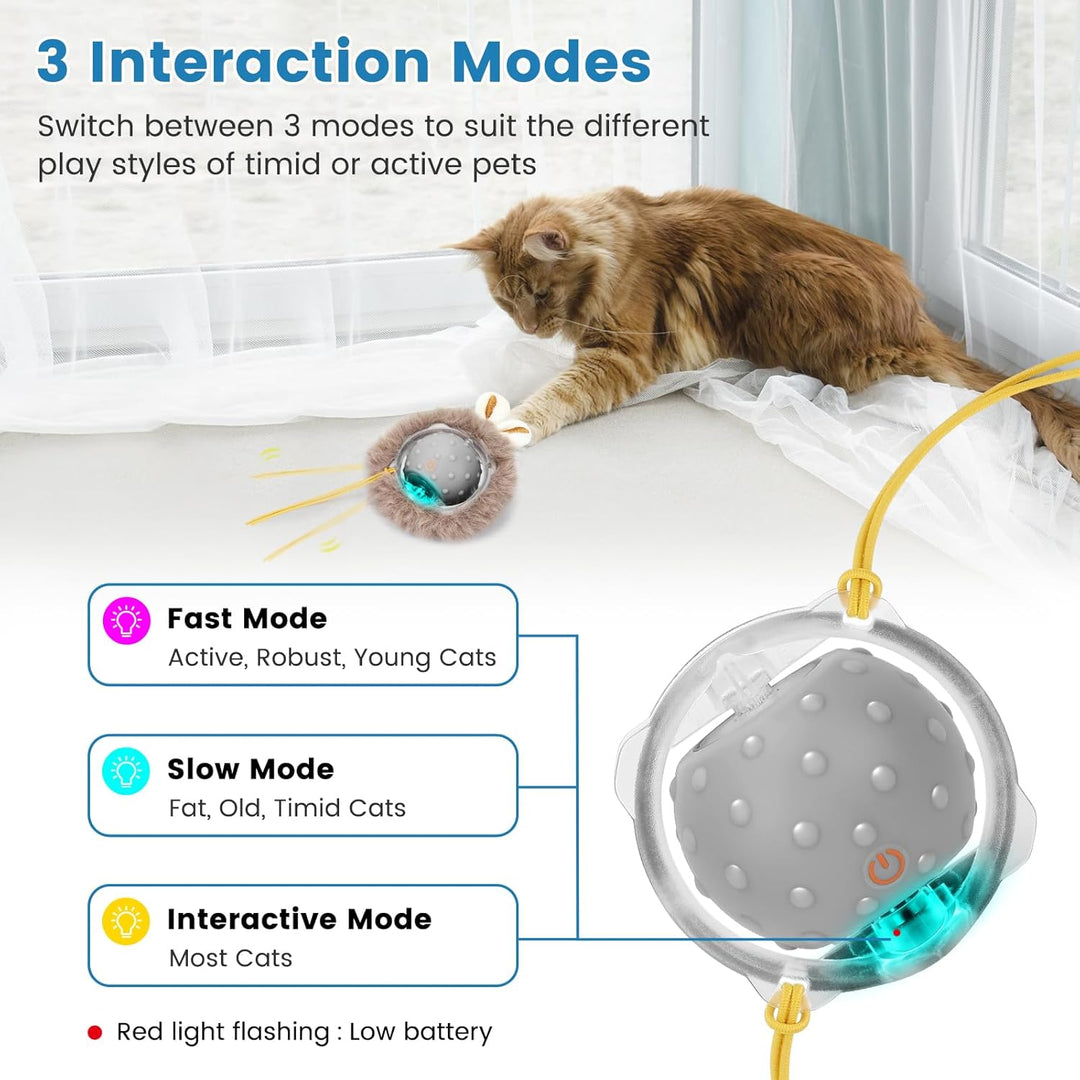 PETTOM Interaktives Katzenspielzeug Selbstbeschäftigung, Katzen Spielzeug Ball mit LED-Licht & 3 Mod