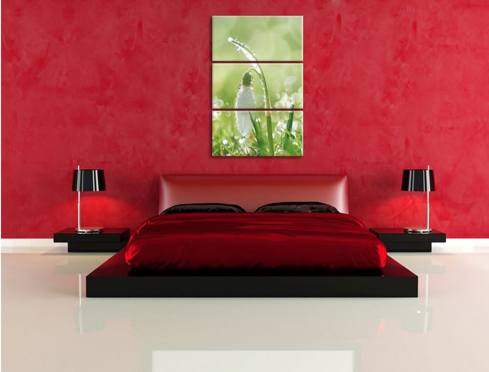 Pixxprint Schneeglöckchen auf Frühlingswiese als Leinwandbild/Grösse: 3 Teilig (120x80) cm/Wandbild/