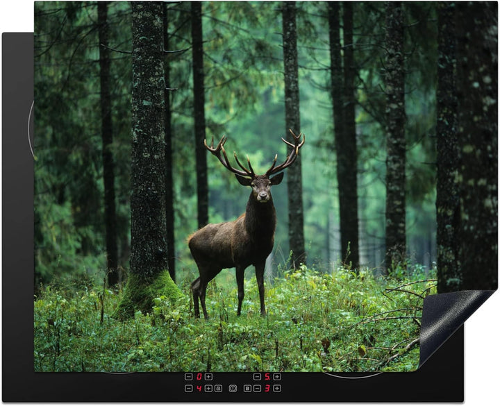MuchoWow Herdabdeckplatte Ceranfeld Spritzschutz Küche Hirsche - Wald - Bäume - Tiere - Natur 65x52